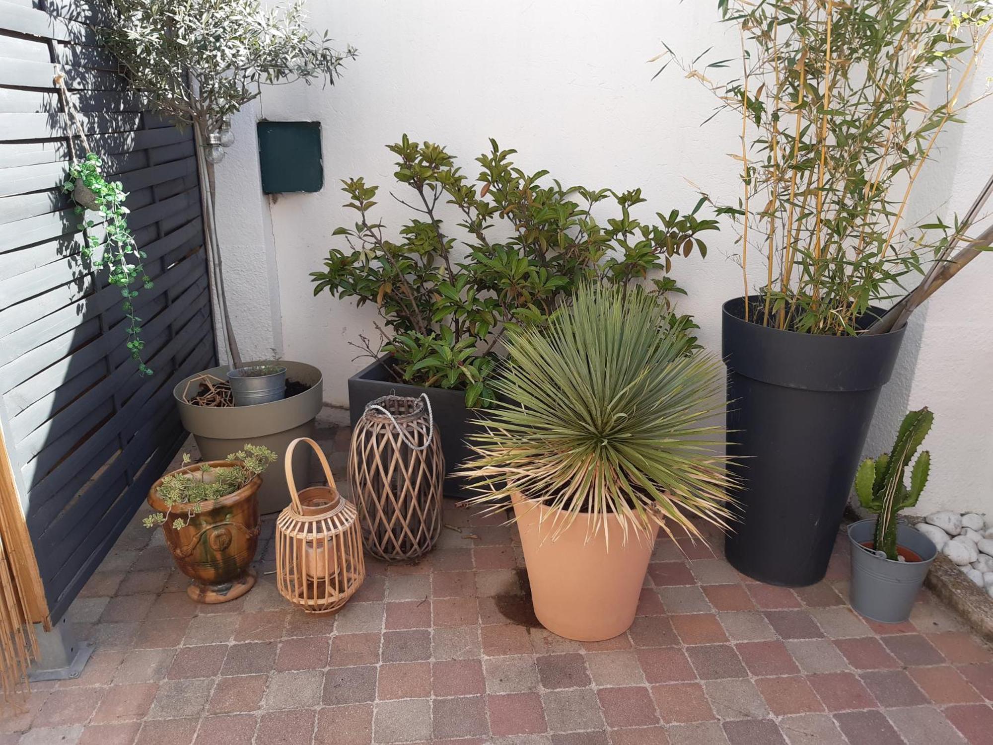 Grand Studio Avec Patio Marseille Extérieur photo